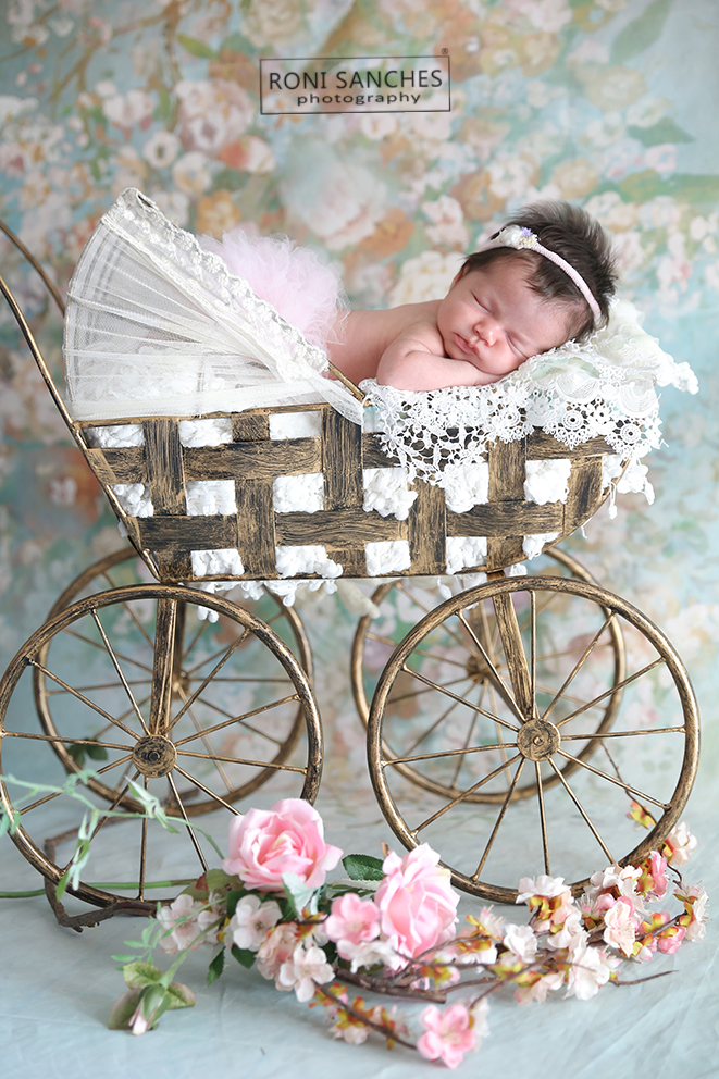 Newborn de bebê em carrinho de bebê vintage